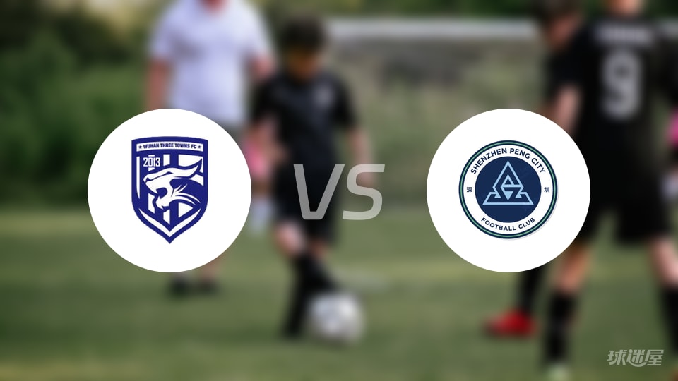 武汉三镇vs深圳新鹏城回放