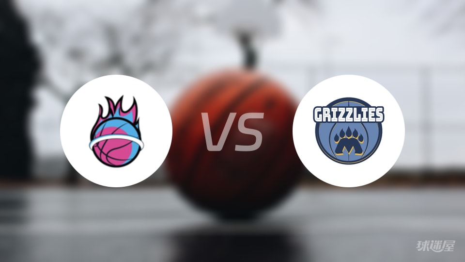 热火vs灰熊回放