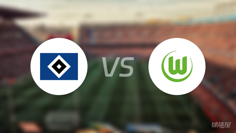 汉堡vs沃尔夫斯堡回放