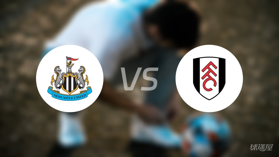 纽卡斯尔联vs富勒姆回放