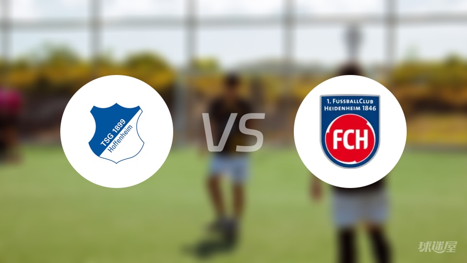 霍芬海姆vs海登海姆比赛结果