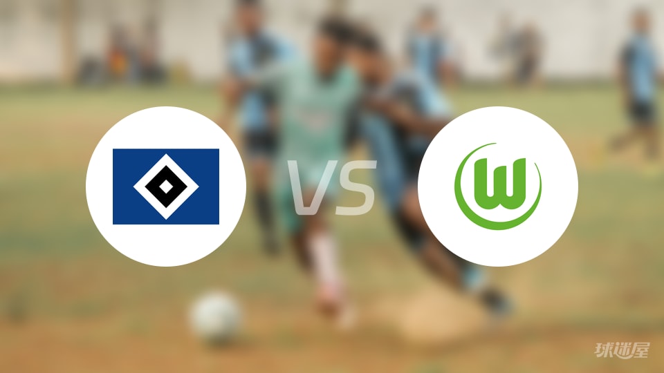 汉堡vs沃尔夫斯堡回放