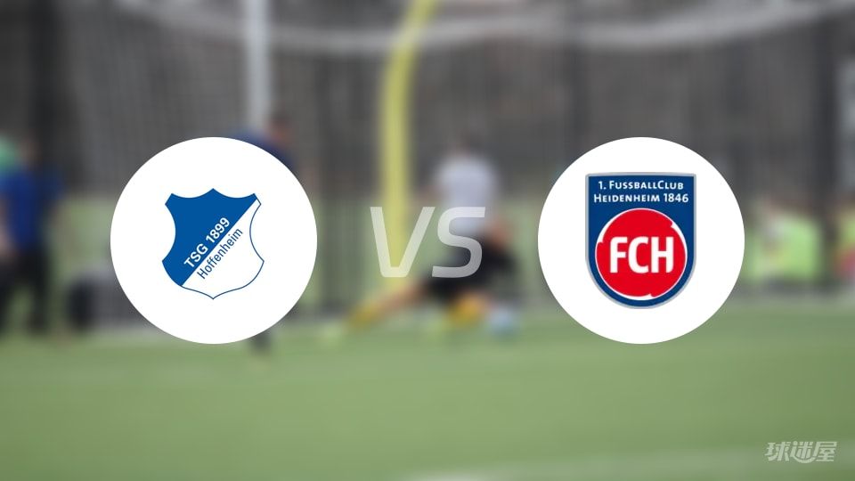 霍芬海姆vs海登海姆回放
