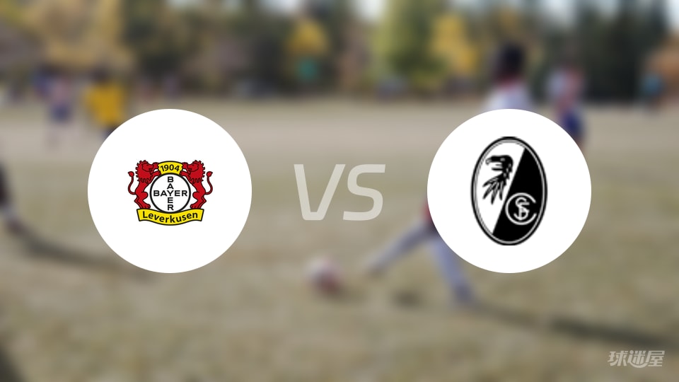 勒沃库森vs弗赖堡回放