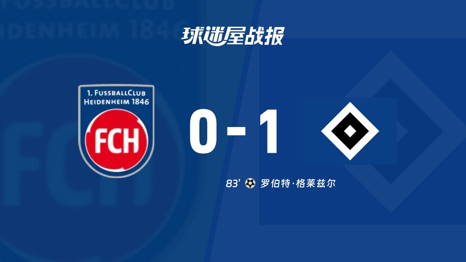 海登海姆vs汉堡比赛结果