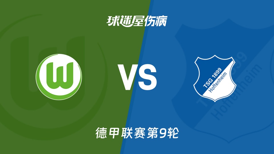 沃尔夫斯堡vs霍芬海姆伤病
