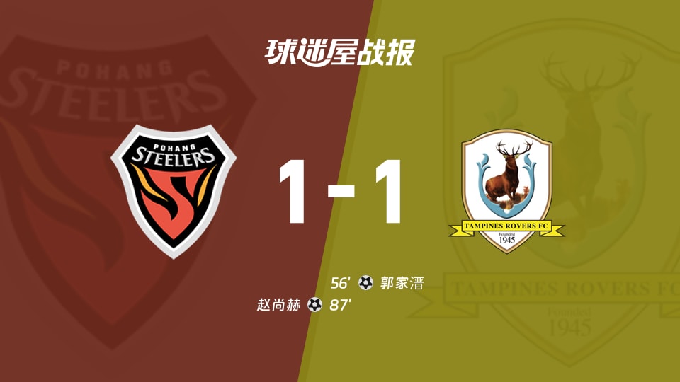 浦项铁人vs淡滨尼流浪者比赛结果