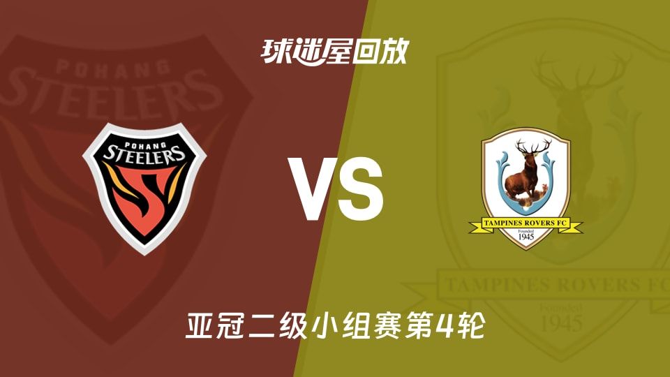 浦项铁人vs淡滨尼流浪者回放