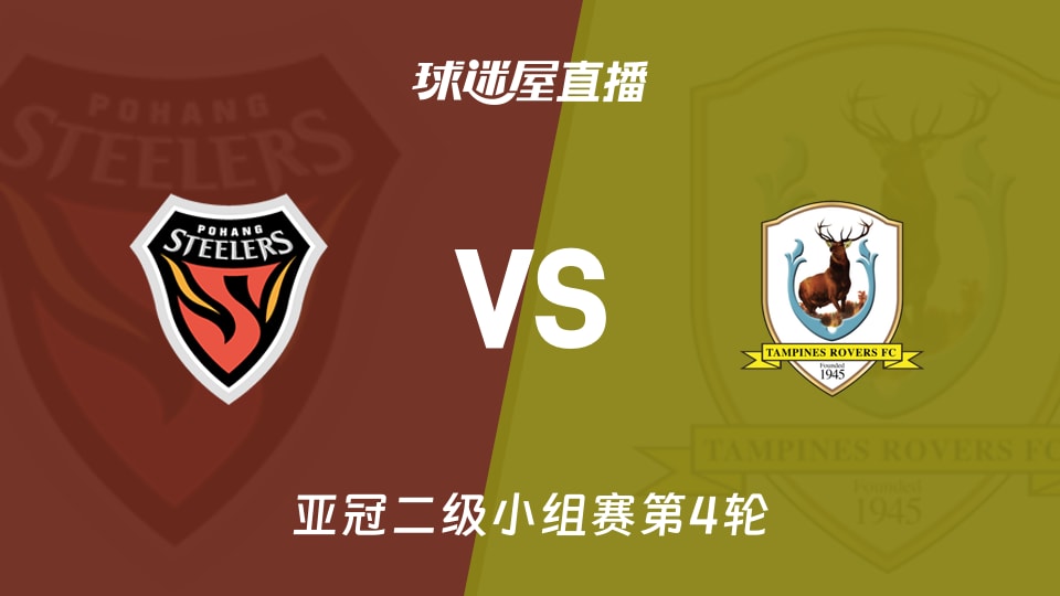 浦项铁人vs淡滨尼流浪者直播