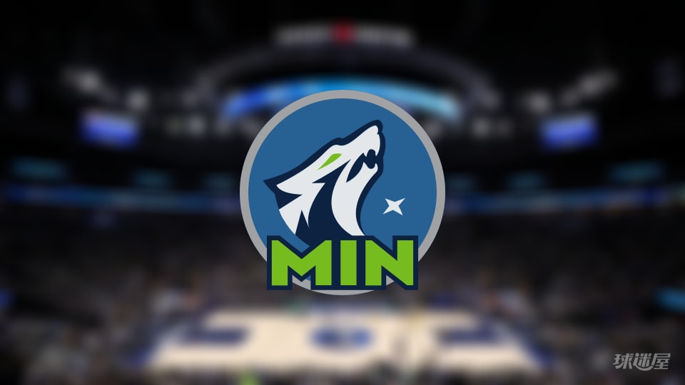 森林狼伤病报告:香农因脚受伤出战成疑(2025年11月10日)