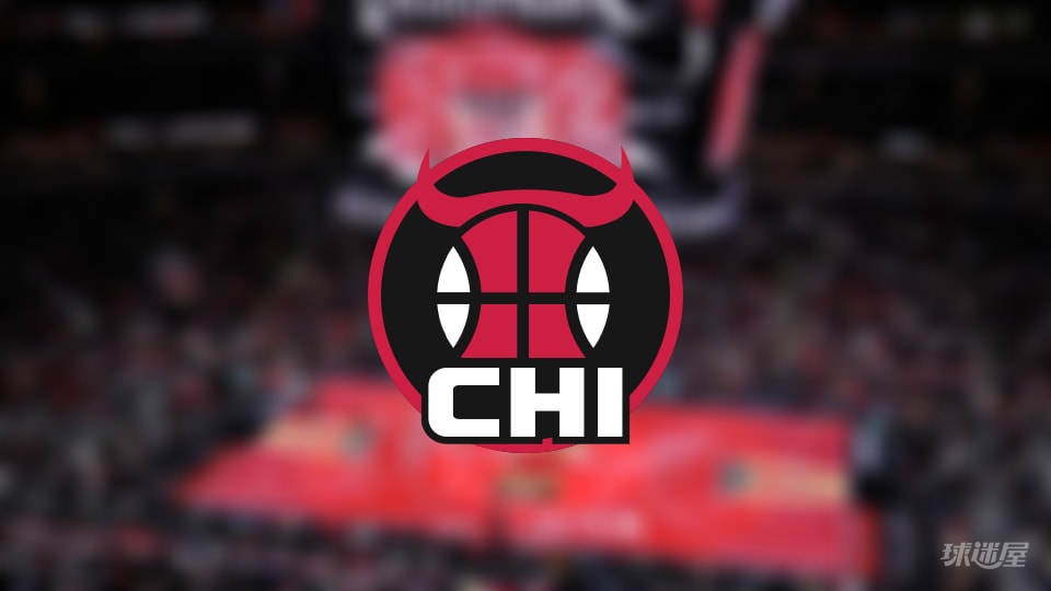 公牛伤病报告：吉迪因脚踝受伤出战成疑(2025年11月11日)