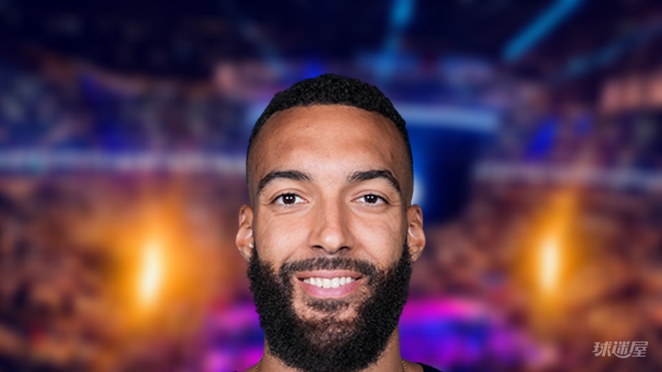 NBA每日盖帽王：鲁迪·戈贝尔5盖帽(2025年11月10日)