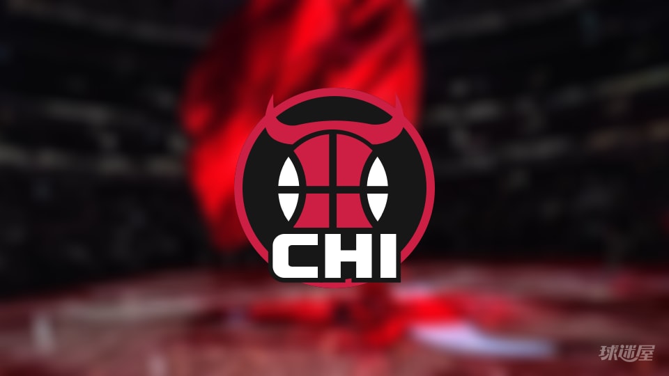 公牛伤病报告:吉迪因脚踝受伤出战成疑(2025年11月13日)