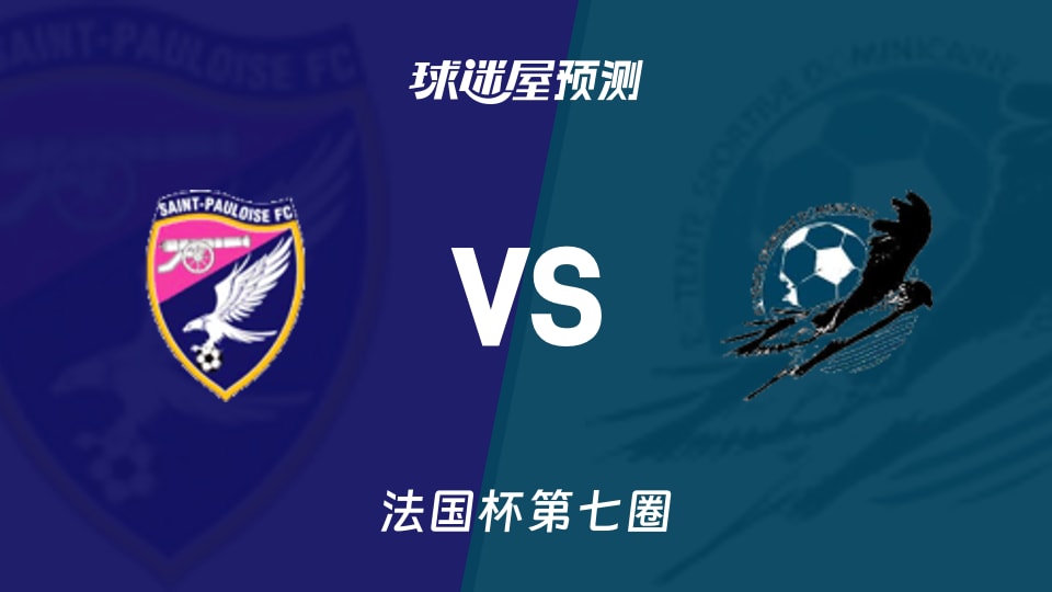 法国杯比赛前瞻:圣保洛斯vs多米尼加预测分析(2025年11月16日)