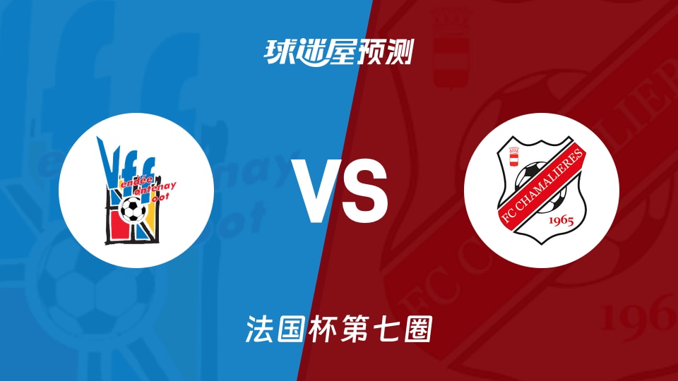 法国杯比赛前瞻:丰特奈文迪vs尚马利尔斯预测分析(2025年11月16日)