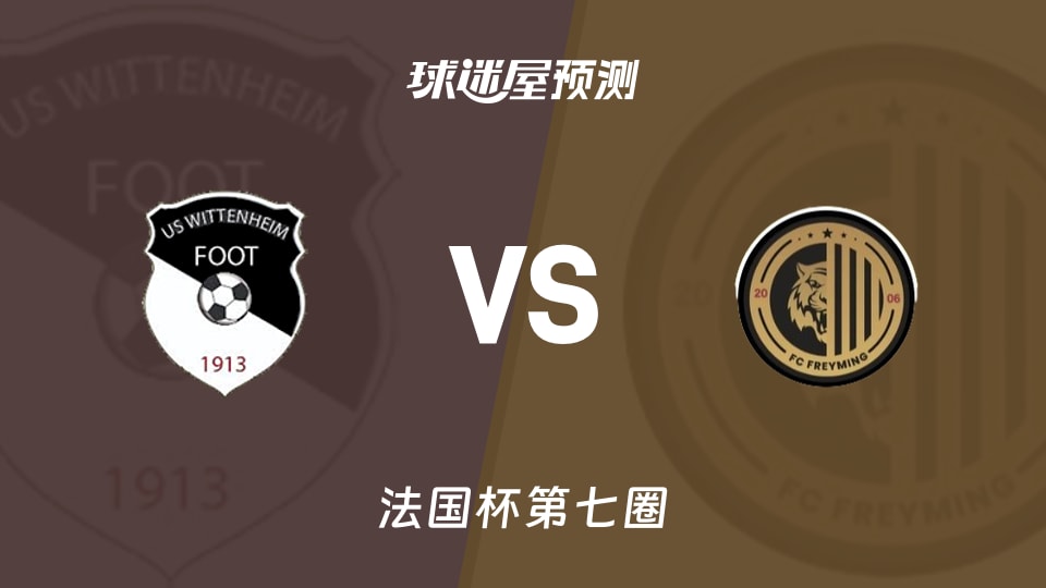 法国杯比赛前瞻:维特内姆vs弗赖明预测分析(2025年11月16日)
