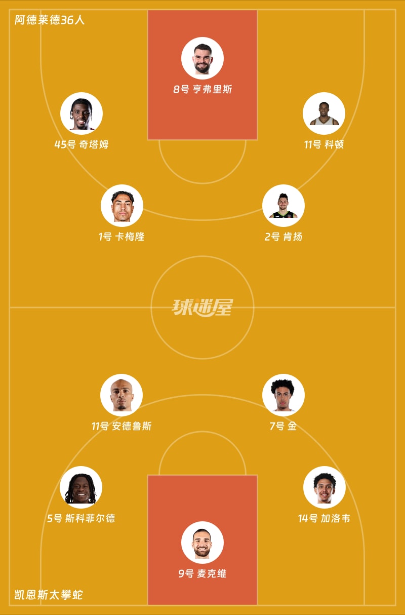 阿德莱德36人vs凯恩斯太攀蛇首发阵容