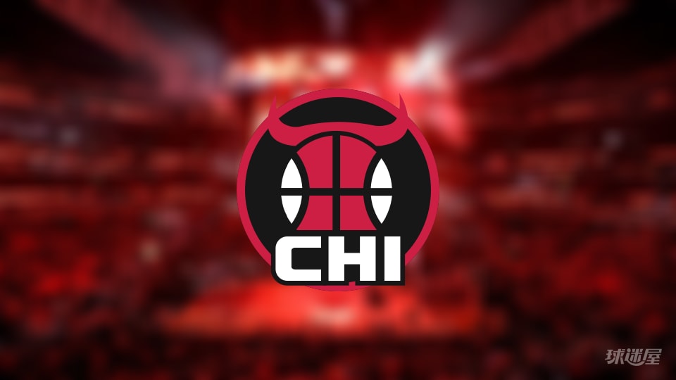 公牛伤病报告:吉迪因脚踝受伤出战成疑(2025年11月17日)