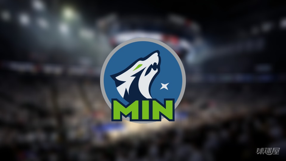 森林狼伤病报告:香农因脚受伤无法出场(2025年11月18日)