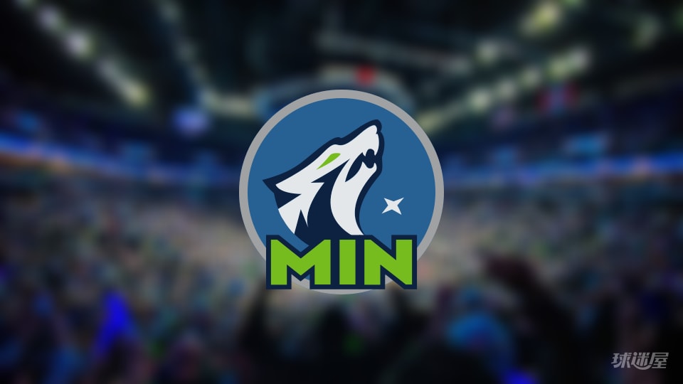 森林狼伤病报告：麦克丹尼尔斯因手腕受伤出战成疑(2025年11月20日)