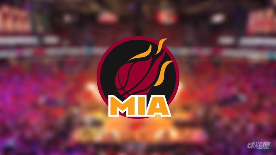 热火伤病报告：罗齐尔因个人受伤无法出场(2025年11月20日)