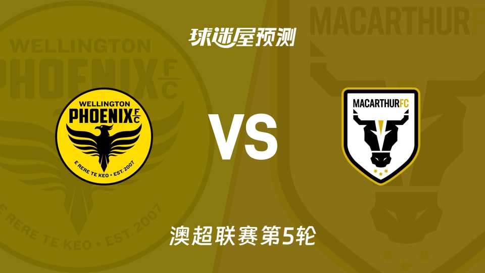 澳超比赛前瞻:惠灵顿凤凰vs麦克阿瑟FC预测分析(2025年11月22日)