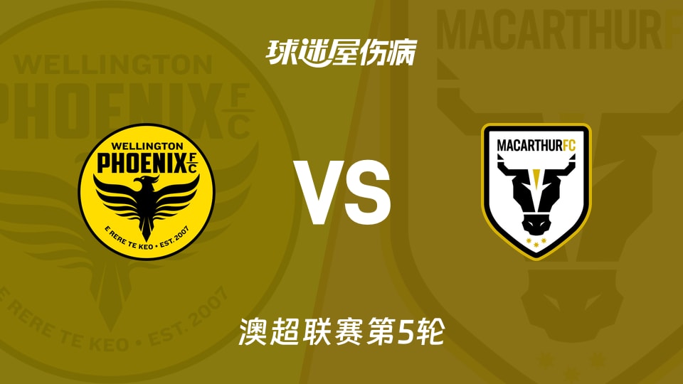 【澳超】惠灵顿凤凰vs麦克阿瑟FC伤病名单最新(2025年11月22日)