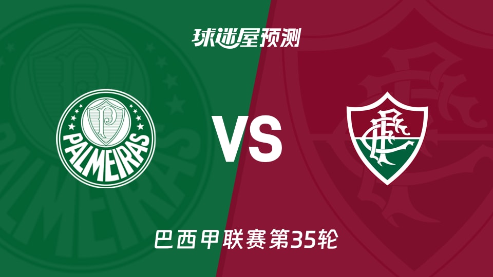 巴西甲比赛前瞻:帕尔梅拉斯vs弗鲁米嫩塞预测分析(2025年11月23日)