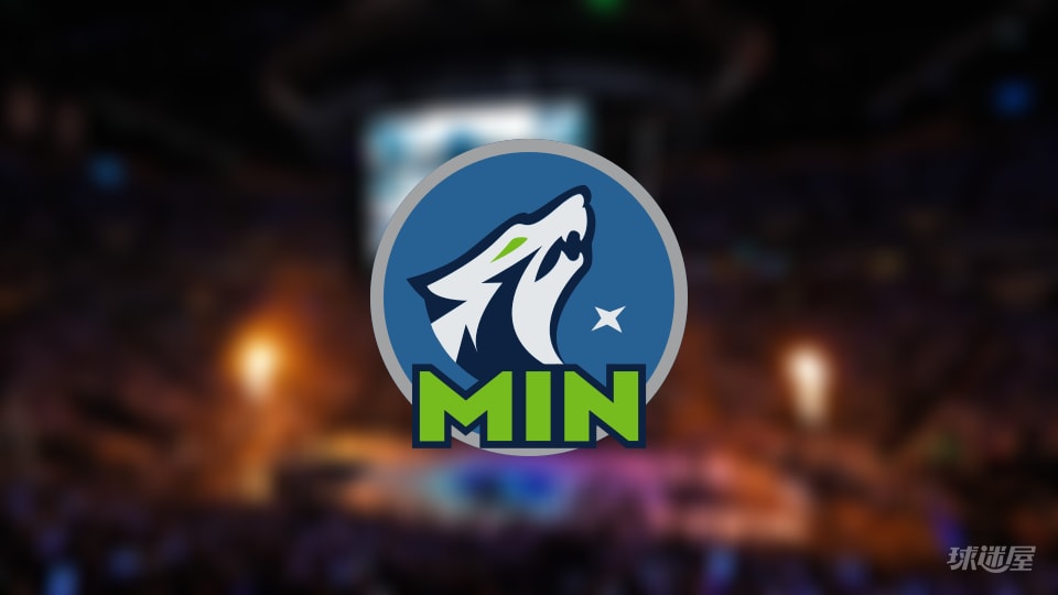 森林狼伤病报告：香农因脚受伤无法出场(2025年11月25日)