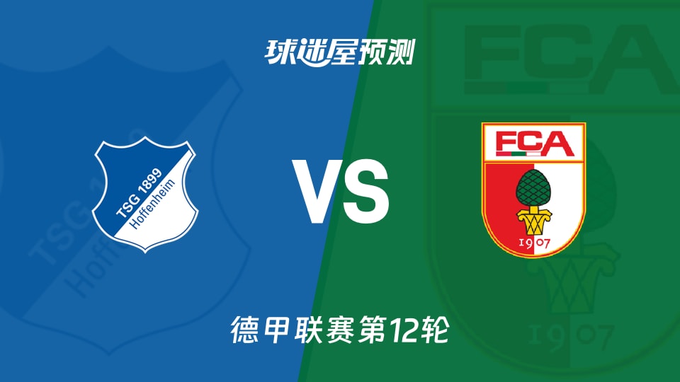 德甲比赛前瞻：霍芬海姆vs奥格斯堡预测分析(2025年11月29日)