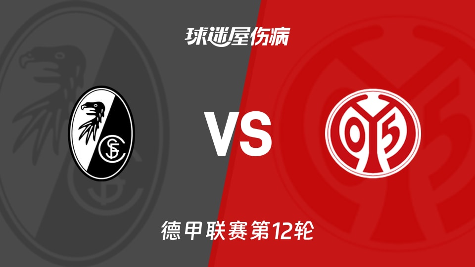 【德甲】弗赖堡vs美因茨伤病名单最新(2025年12月01日)
