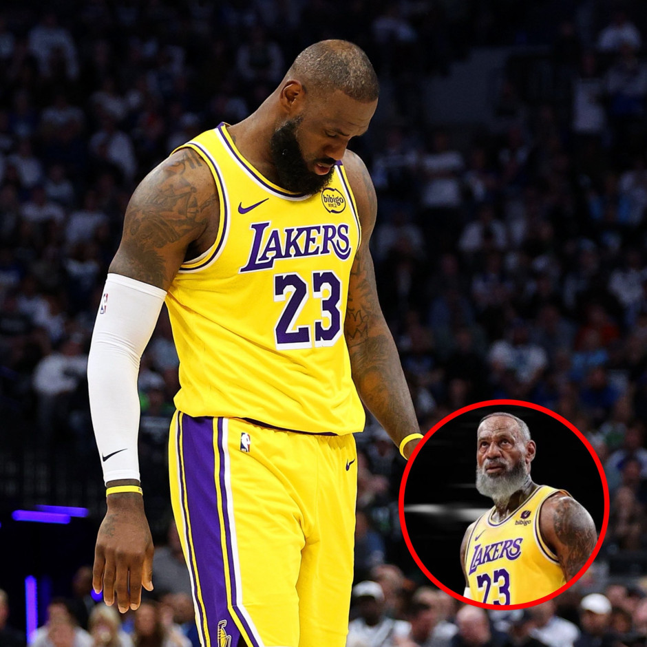 _詹姆斯球员_詹姆斯的传奇篮球生涯