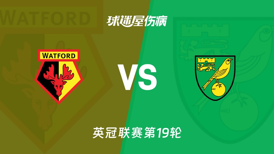 【英冠联赛第19轮】沃特福德vs诺维奇伤病名单最新(2025年12月06日)