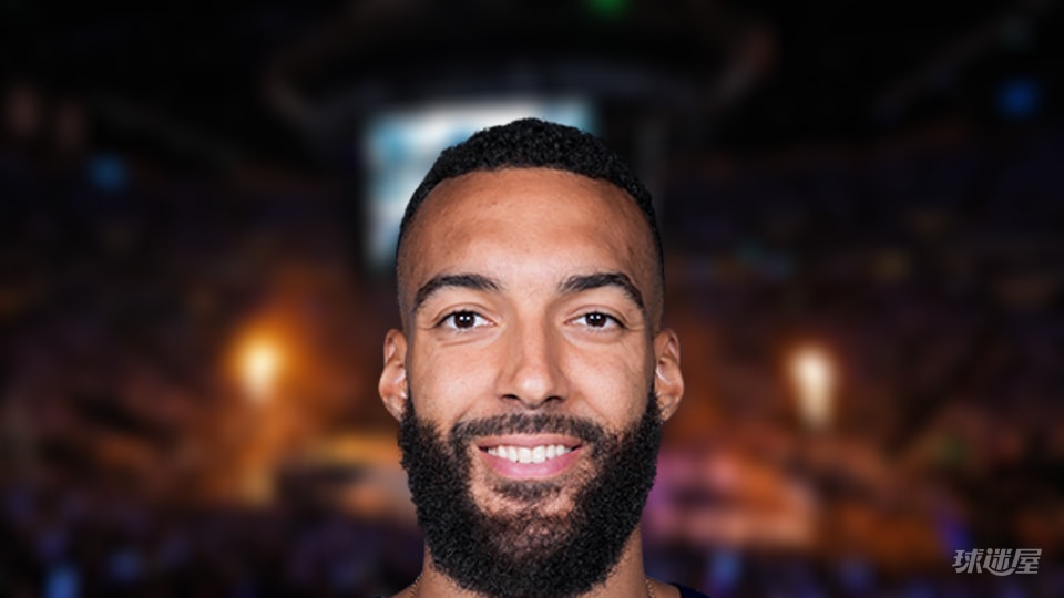 NBA每日盖帽王：鲁迪·戈贝尔4盖帽(2025年12月30日)