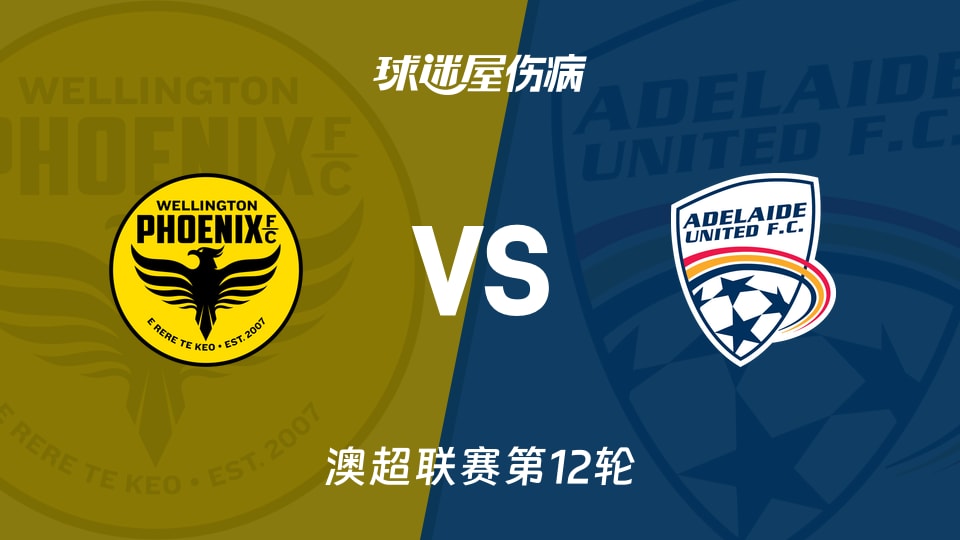 【澳超联赛第12轮】惠灵顿凤凰vs阿德莱德联伤病名单最新(2026年01月11日)