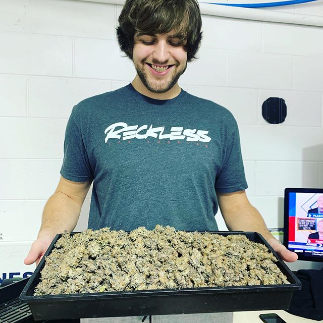 麦加里的推特twitter和instagram动态中文主页 - 球迷屋