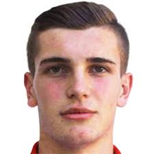 穆拉胡塞诺维奇