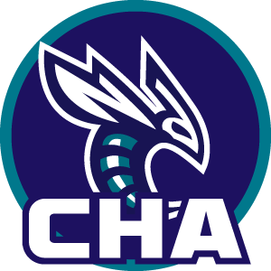 CHARLOTTE HORNETS